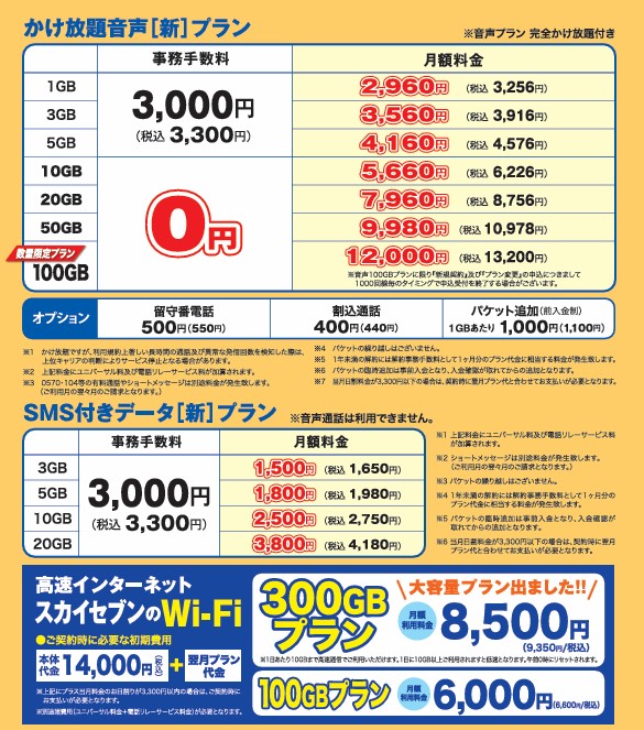 100gbプラン